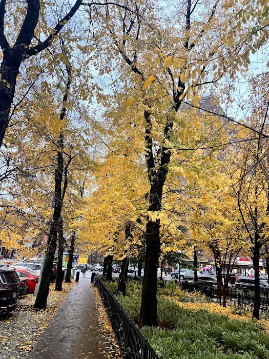 Madison Bagel & Grill Picture 6