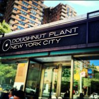 Doughnut Plant ico