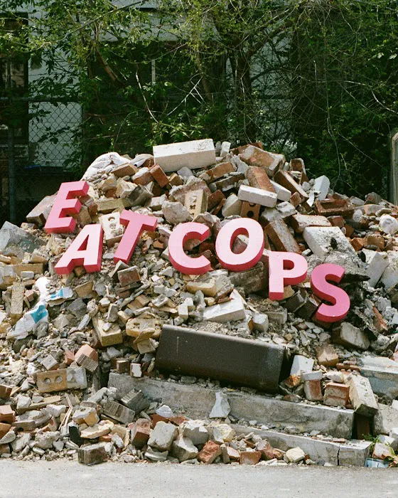 COPS® Picture 8