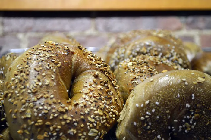 Bagel Belly Picture 9
