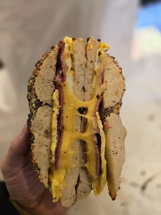 David's Bagels Picture 4