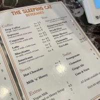 The Sleeping Cat ico