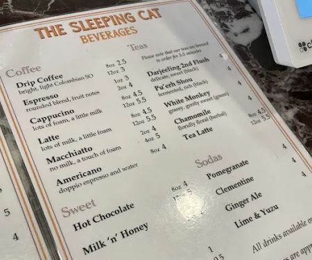 The Sleeping Cat