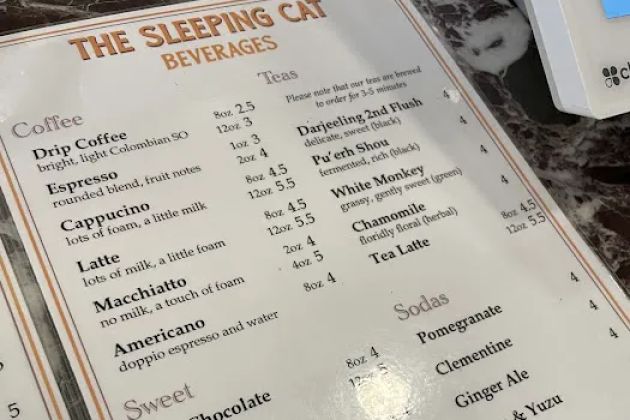 The Sleeping Cat