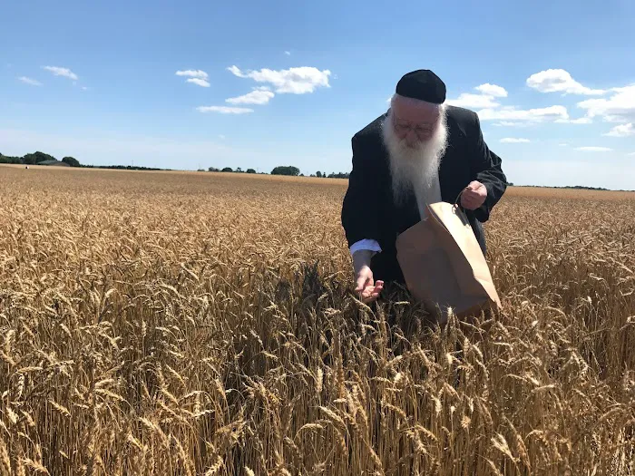Kerestir Matzah Bakery קערעסטיר מצה בעקערי Picture 3