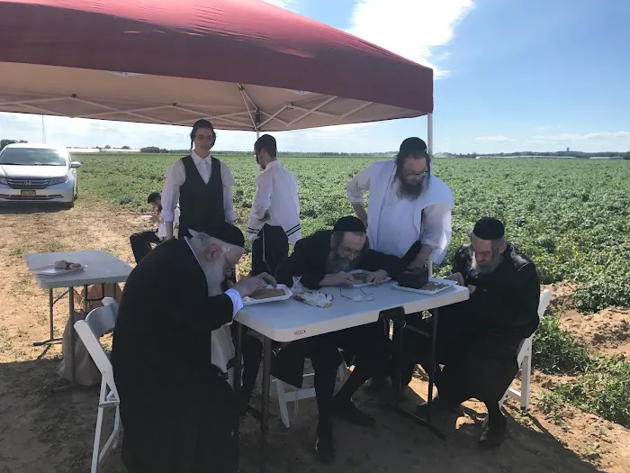 Kerestir Matzah Bakery קערעסטיר מצה בעקערי Picture 7