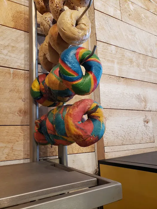 Bagel Nest Picture 7