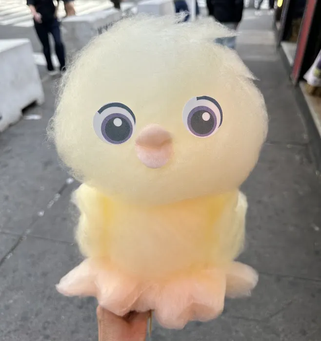 Fluffy nyc Picture 4