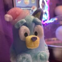 Fluffy nyc ico