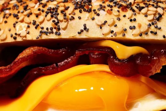 H&H Bagels