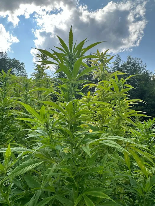 D's Baked Fresh Picture 7