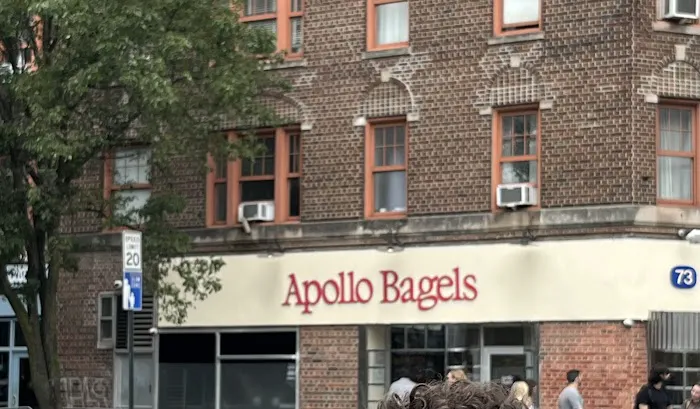 Apollo Bagels Picture 5