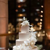 Vincenzo Salvatore Cakes ico