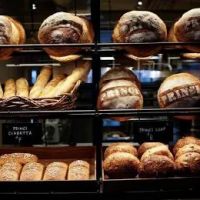 Williams bakery ico
