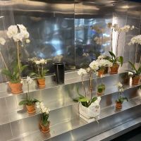 Eli’s Bread & Pastry at Grand Central Market ico