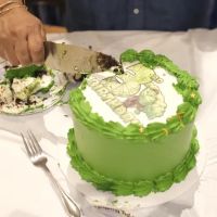 Hanoli Cakes ico