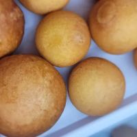 Calibella Bakery & Piqueteadero Inc. #2 ico