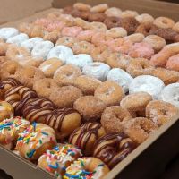 Doughnuttery ico