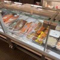 Tal Bagels ico