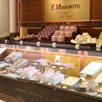 K. Minamoto ico