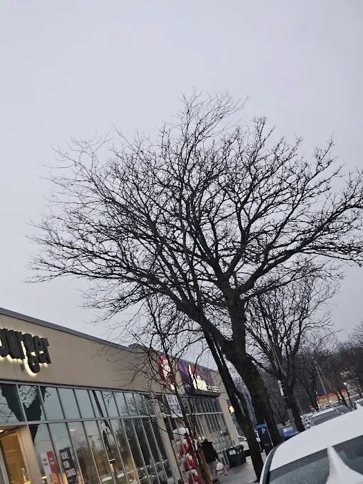 Red Ribbon Bakeshop Picture 8