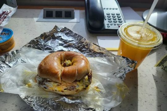 Hudson Bagel