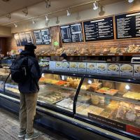 Daily Bagel ico