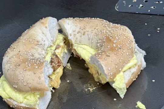 Bagel Bin