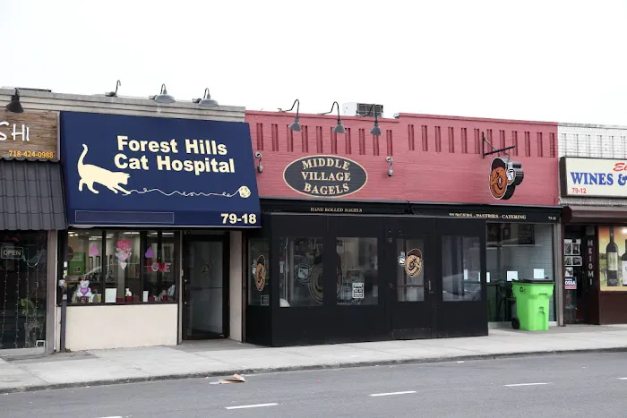 Middle Village Bagels Picture 1