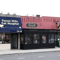 Middle Village Bagels ico