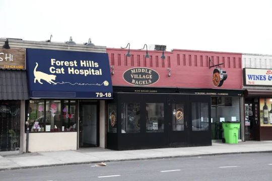 Middle Village Bagels