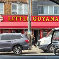 Little Guyana Bake Shop ico