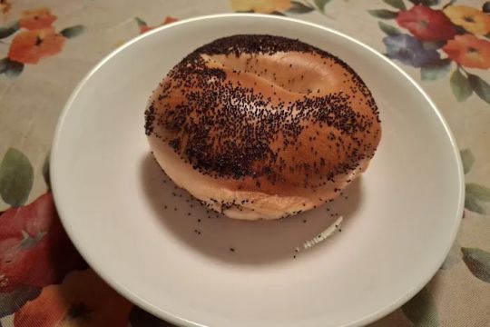Sam's Bagels