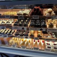 The Oasis Cafe ico