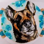 Dog Cakes for Dogs