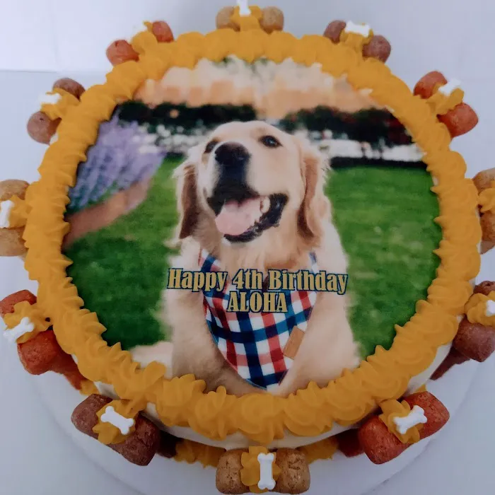 Dog Cakes for Dogs Picture 5