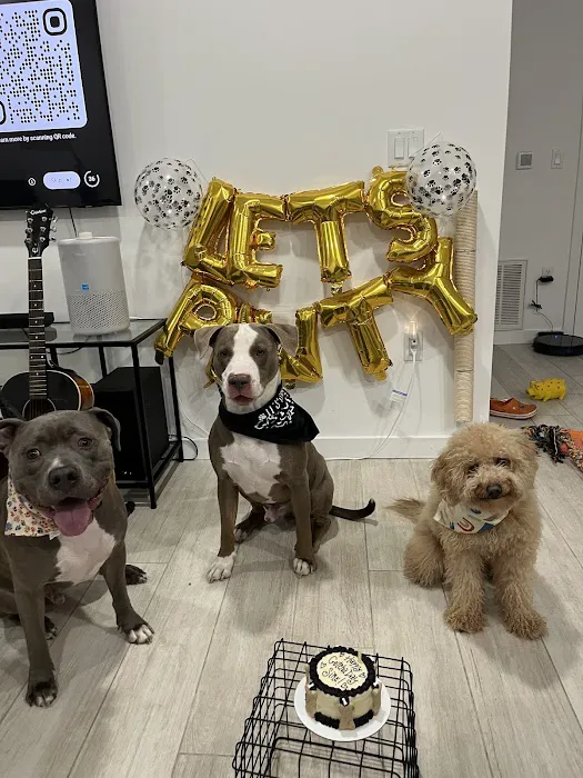 Dog Cakes for Dogs Picture 8