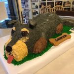 Creative Cakes
