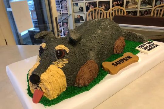 Creative Cakes