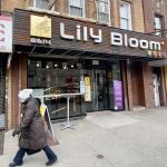 Lily Bloom Bakery