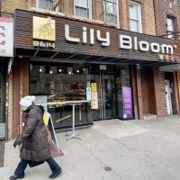 Lily Bloom Bakery ico