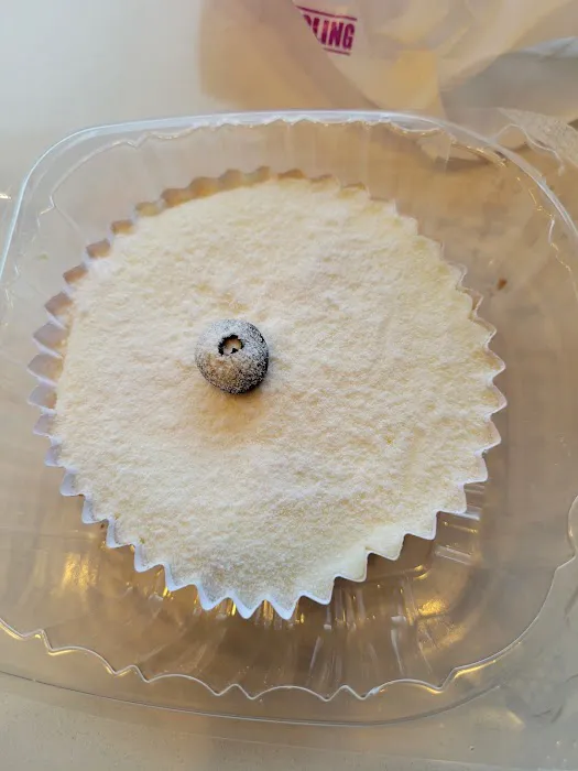 Lily Bloom Bakery Picture 8