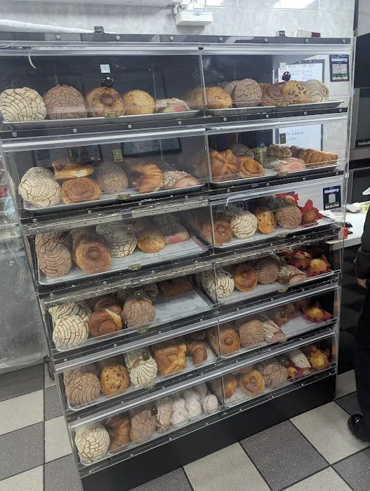 Blueberry Mexican Grill and Bakery Picture 7