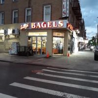 Sunset Bagels Cafe & Grill Bay Ridge ico