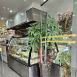 NEW EMERALD FORTUNE BAKERY