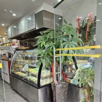 NEW EMERALD FORTUNE BAKERY ico