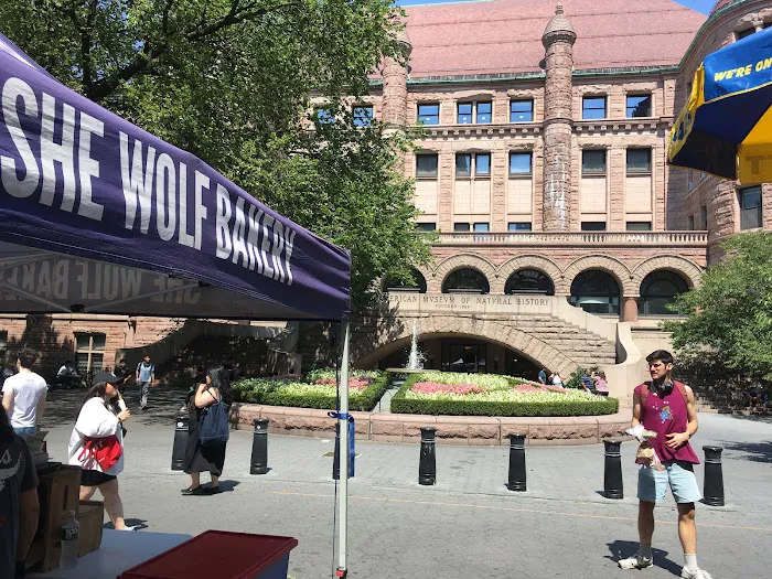 She Wolf Bakery - 79th Street Picture 5