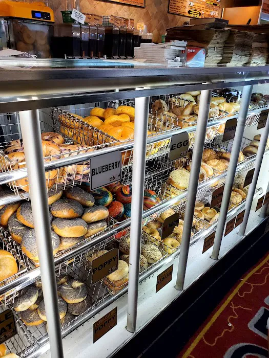 Bagel Boy Picture 10