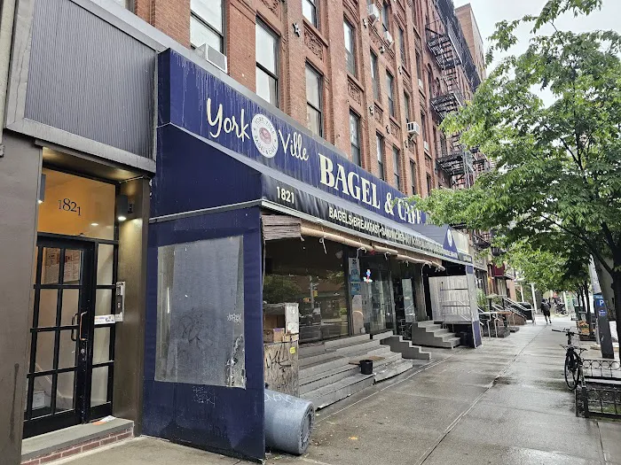 Yorkville Bagel & Cafe Picture 2