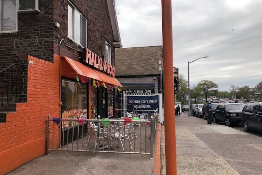 Bagel Oasis